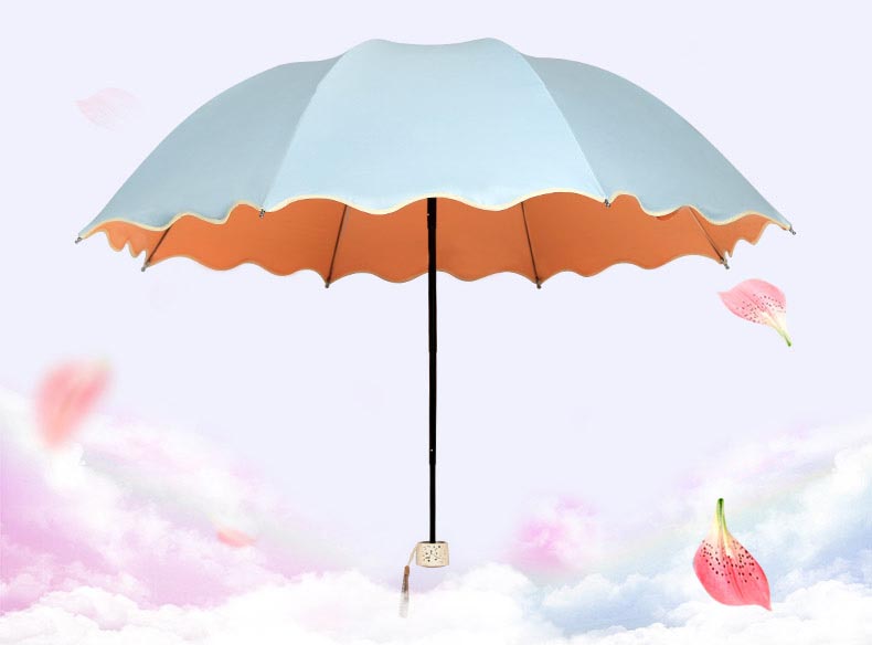 折叠黑胶挡风遮雨太阳伞晴雨伞两用 遇水开花雨伞 女防紫外线三折伞定制