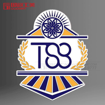 ts8创意异型徽章定做
