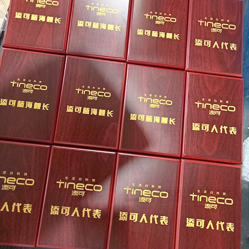 2019年06月 添可智能科技有限公司银镶金奖牌定制 公司宣传礼品